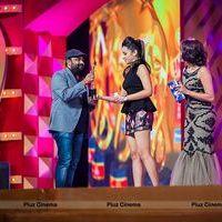 Celebs at SIIMA Awards 2013 Photos | Picture 571680