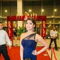Pranitha - Celebs at SIIMA Awards 2013 Photos