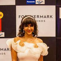 Lakshmi Manchu - Celebs at SIIMA Awards 2013 Photos