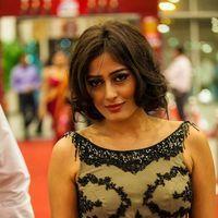 Celebs at SIIMA Awards 2013 Photos | Picture 571733