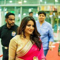 Celebs at SIIMA Awards 2013 Photos | Picture 571734
