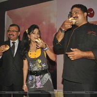 Madhavi Latha at Mumbai Express Food Festival 2013 Photos | Picture 571559
