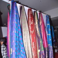 Governor wife Vimala Narasimhan launches silk mark expo photos | Picture 590337