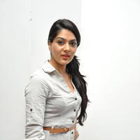 Sakshi Chowdary at Potugadu Platinum Disc Function Photos | Picture 591240