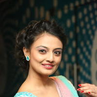 Nikitha Narayan - Nikitha Narayan at Pesarattu Audio Launch Photos | Picture 907505