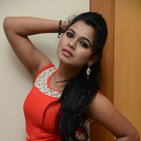 Naveena Jackson at Pallavi tho Charan Audio Launch Photos | Picture 917314