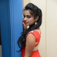 Naveena Jackson at Pallavi tho Charan Audio Launch Photos | Picture 917316