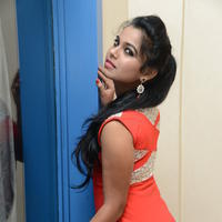 Naveena Jackson at Pallavi tho Charan Audio Launch Photos | Picture 917317