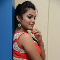 Naveena Jackson at Pallavi tho Charan Audio Launch Photos | Picture 917321