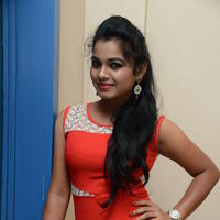 Naveena Jackson at Pallavi tho Charan Audio Launch Photos | Picture 917325