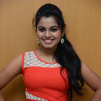 Naveena Jackson at Pallavi tho Charan Audio Launch Photos | Picture 917330