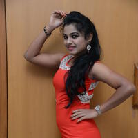 Naveena Jackson at Pallavi tho Charan Audio Launch Photos | Picture 917340