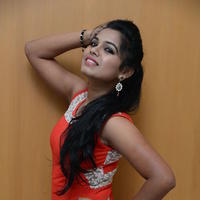 Naveena Jackson at Pallavi tho Charan Audio Launch Photos | Picture 917341