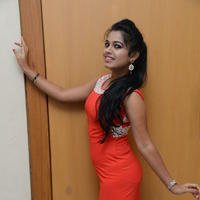 Naveena Jackson at Pallavi tho Charan Audio Launch Photos | Picture 917343