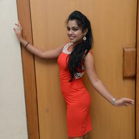 Naveena Jackson at Pallavi tho Charan Audio Launch Photos | Picture 917344