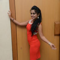 Naveena Jackson at Pallavi tho Charan Audio Launch Photos | Picture 917345