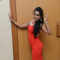 Naveena Jackson at Pallavi tho Charan Audio Launch Photos | Picture 917346