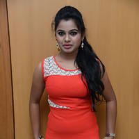 Naveena Jackson at Pallavi tho Charan Audio Launch Photos | Picture 917347