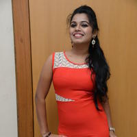 Naveena Jackson at Pallavi tho Charan Audio Launch Photos | Picture 917354