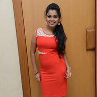 Naveena Jackson at Pallavi tho Charan Audio Launch Photos | Picture 917355