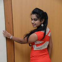 Naveena Jackson at Pallavi tho Charan Audio Launch Photos | Picture 917357