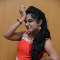 Naveena Jackson at Pallavi tho Charan Audio Launch Photos | Picture 917363