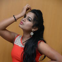 Naveena Jackson at Pallavi tho Charan Audio Launch Photos | Picture 917364