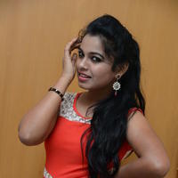 Naveena Jackson at Pallavi tho Charan Audio Launch Photos | Picture 917365