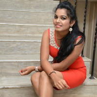 Naveena Jackson at Pallavi tho Charan Audio Launch Photos | Picture 917400