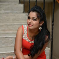 Naveena Jackson at Pallavi tho Charan Audio Launch Photos | Picture 917403