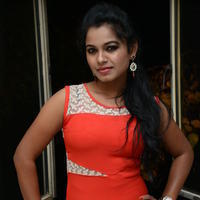 Naveena Jackson at Pallavi tho Charan Audio Launch Photos | Picture 917420