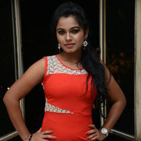 Naveena Jackson at Pallavi tho Charan Audio Launch Photos | Picture 917422
