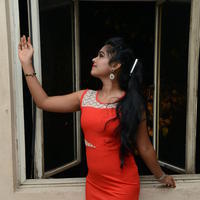 Naveena Jackson at Pallavi tho Charan Audio Launch Photos | Picture 917424