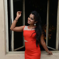 Naveena Jackson at Pallavi tho Charan Audio Launch Photos | Picture 917425