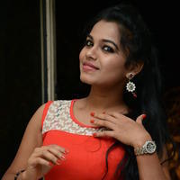 Naveena Jackson at Pallavi tho Charan Audio Launch Photos | Picture 917431