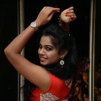 Naveena Jackson at Pallavi tho Charan Audio Launch Photos | Picture 917435