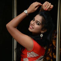 Naveena Jackson at Pallavi tho Charan Audio Launch Photos | Picture 917436