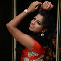 Naveena Jackson at Pallavi tho Charan Audio Launch Photos | Picture 917437
