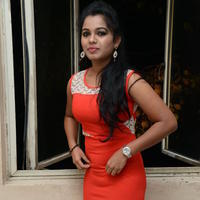 Naveena Jackson at Pallavi tho Charan Audio Launch Photos | Picture 917445