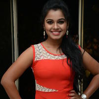 Naveena Jackson at Pallavi tho Charan Audio Launch Photos | Picture 917448