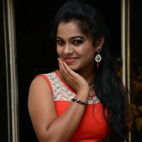 Naveena Jackson at Pallavi tho Charan Audio Launch Photos | Picture 917453