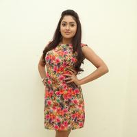 Anjana at Sikandar Audio Release Function Photos | Picture 784875