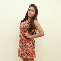 Anjana at Sikandar Audio Release Function Photos | Picture 784876