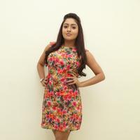 Anjana at Sikandar Audio Release Function Photos | Picture 784882