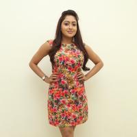 Anjana at Sikandar Audio Release Function Photos | Picture 784883