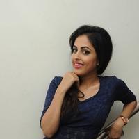 Priya Banerjee at Joru Platinum Disc Function Photos | Picture 861727