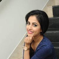Priya Banerjee at Joru Platinum Disc Function Photos | Picture 861728