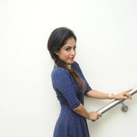 Priya Banerjee at Joru Platinum Disc Function Photos | Picture 861732