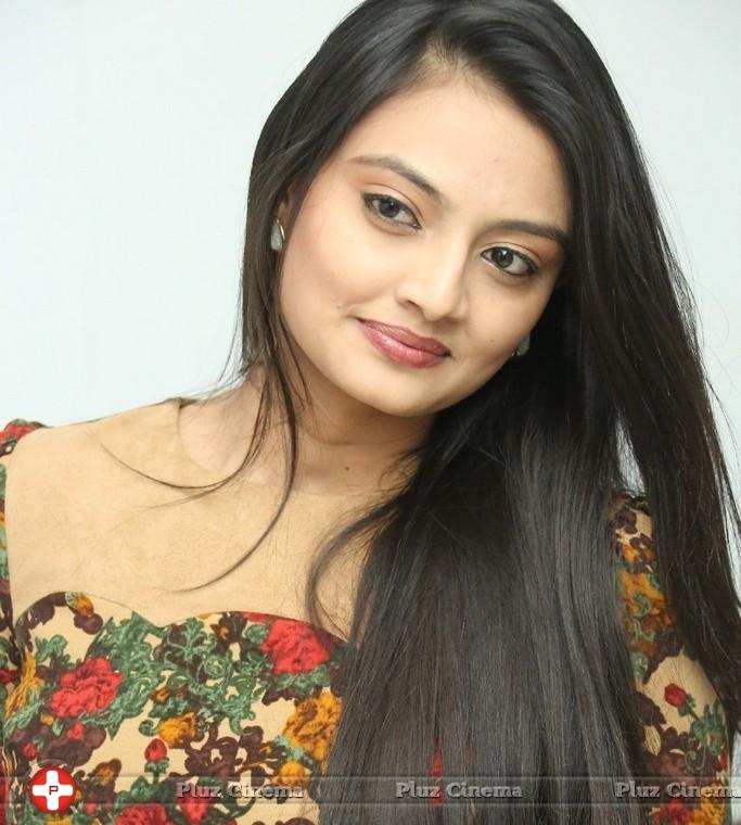 Nikitha Narayan at Love Fever Album Launch Photos | Picture 862391