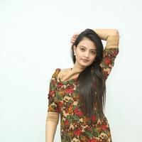 Nikitha Narayan at Love Fever Album Launch Photos | Picture 862371